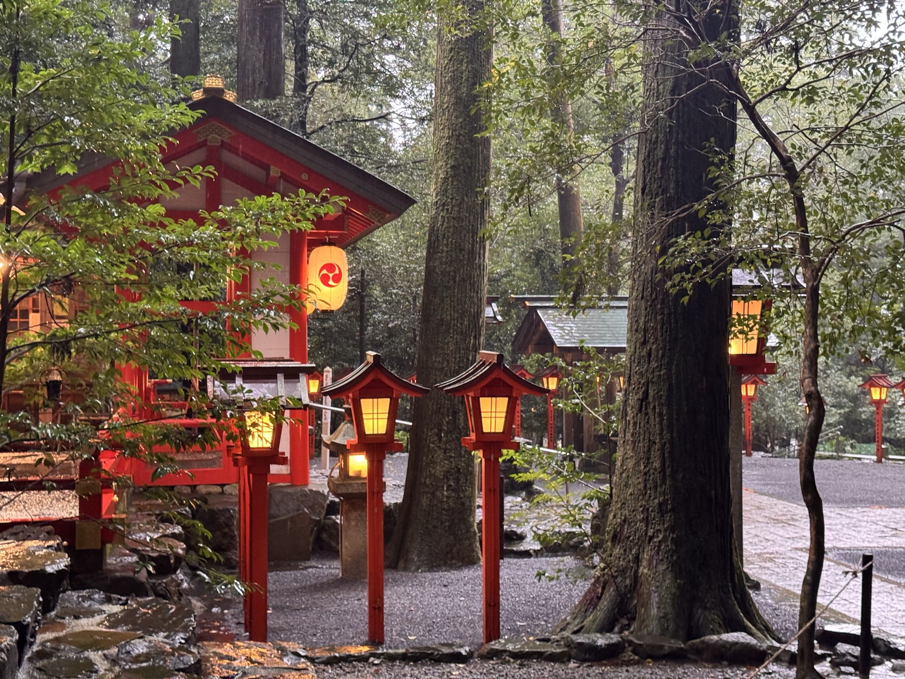 Red lanterns among cedar trees at Tsubaki Grand Shrine in Mie